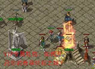 VIPר���������ο������������Ȩ֮·��