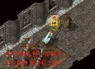 VIPר���������ο������������Ȩ֮·��