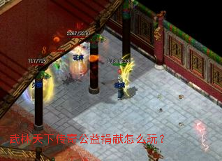 武林天下传奇公益捐献怎么玩? 武林天下传奇公益捐献怎么玩?