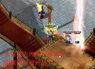 ��ѩ���Ŵ���˽��������ο�������ս����