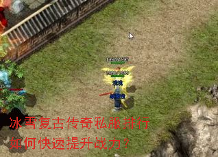 ��ѩ���Ŵ���˽��������ο�������ս����