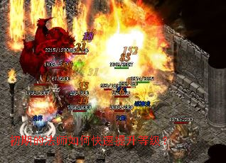 ���ڵķ�ʦ��ο��������ȼ���