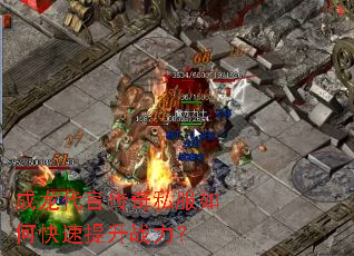 �������Դ���˽����ο�������ս����