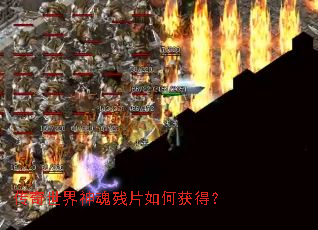 ������������Ƭ��λ�ã�