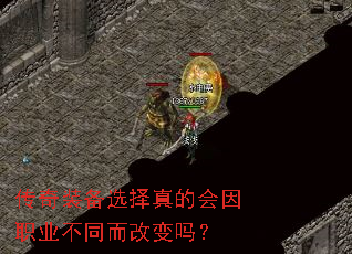 ����װ��ѡ����Ļ���ְҵ��ͬ���ı���