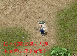 我本沉默宠物商人脚本如何快速刷金币? 我本沉默宠物商人脚本如何快速刷金币?