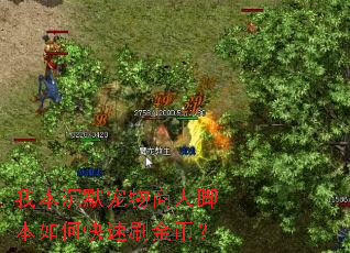 我本沉默宠物商人脚本如何快速刷金币? 我本沉默宠物商人脚本如何快速刷金币?