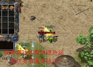 ������Ϸ��ο�������������������Щ���ɣ�