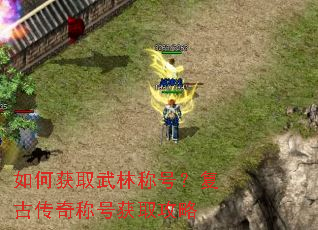 ��λ�ȡ���ֳƺţ����Ŵ���ƺŻ�ȡ����