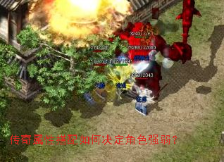 �������Դ�����ξ�����ɫǿ����