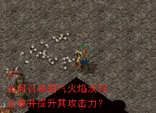 ����ٻ�������������ʥ�޲������乥������