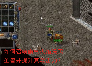 ����ٻ�������������ʥ�޲������乥������