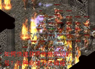 ��ο��ٻ�ô���߼��ƺţ����ָ�Ч��������