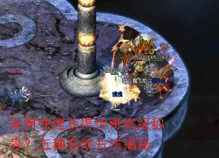 ��ο��ٻ�ô���߼��ƺţ����ָ�Ч��������