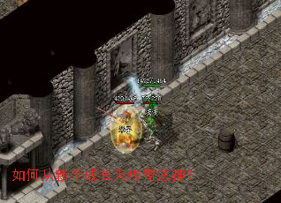 ��δ����ֳɳ�Ϊ���淨��