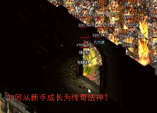 ��δ����ֳɳ�Ϊ���淨��