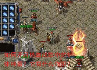 ��ο�����Ѫս���еĻ�����ܣ�����ʲô���ã�