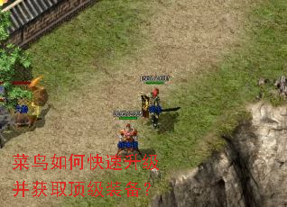 菜鸟如何快速升级并获取顶级装备? 菜鸟如何快速升级并获取顶级装备?