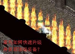 菜鸟如何快速升级并获取顶级装备? 菜鸟如何快速升级并获取顶级装备?