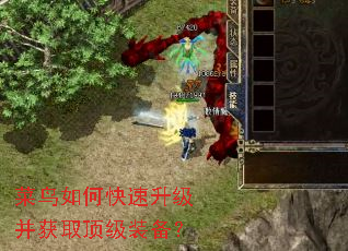 菜鸟如何快速升级并获取顶级装备? 菜鸟如何快速升级并获取顶级装备?