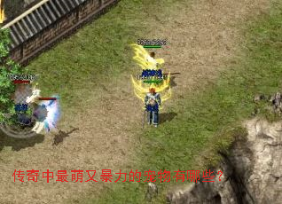 传奇中最萌又暴力的宠物有哪些? 传奇中最萌又暴力的宠物有哪些?