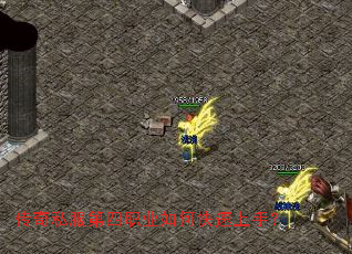 ����˽������ְҵ��ο������֣�