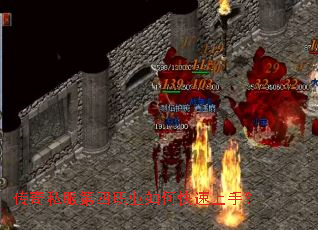 ����˽������ְҵ��ο������֣�