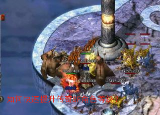 ��ο�����������SF��ɫ�ȼ���