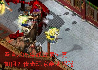 ʥ����PKʵսЧ��������Σ���������ײ����