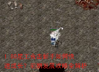 1.80�����ϻ�������ο��ٳɳ���ǰ�ڷ�չ����ȫ����