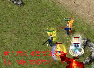 �¿������������ٳ�Σ���������ЧӦ�ԣ�