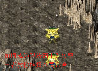 ��γ�Ϊ�귨�������������߽����ɨ�˻�����