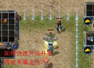 如何快速升级并掌握精英屠龙技巧? 如何快速升级并掌握精英屠龙技巧?