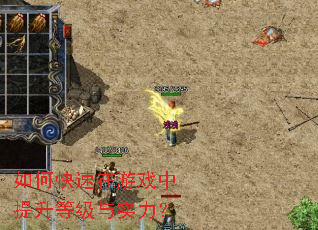 ��ο�������Ϸ�������ȼ���ʵ����