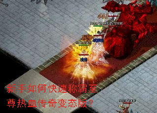 ������ο��ٳư�������Ѫ�����̬�棿