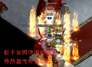 ������ο��ٳư�������Ѫ�����̬�棿