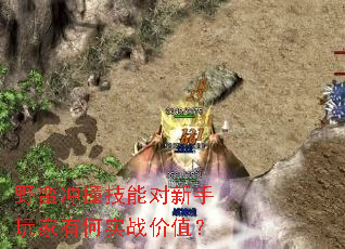 野蛮冲撞技能对新手玩家有何实战价值? 野蛮冲撞技能对新手玩家有何实战价值?