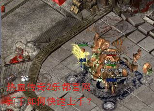 ��Ѫ����2�ֶ�����������ο������֣�