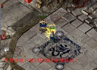 ������ϷIP�������μ������棿