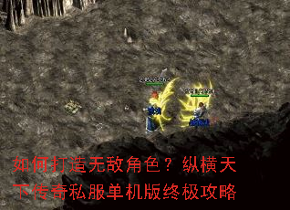 ��δ����޵н�ɫ���ݺ����´���˽���������ռ�����