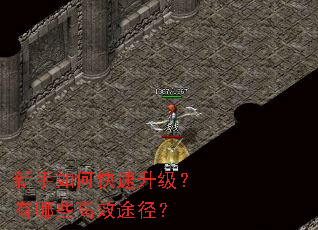 ������ο�������������Щ��Ч;����