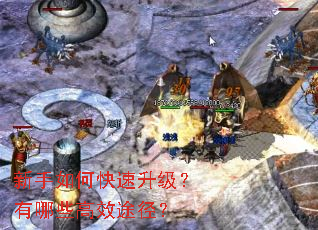 ������ο�������������Щ��Ч;����