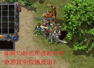 ����������ü����ڴ�����Ϸ����ӱ������