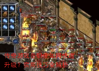 ������Ϸ��ְҵ��ο���������ʵ�ü���ȫ����