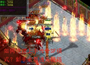 ��ο������ִ���SFģʽ�����ֱؿ�ͨ���ؼ�