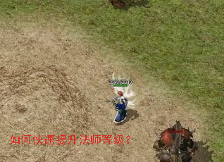 ��ο���������ʦ�ȼ���