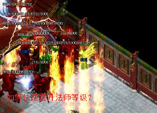 ��ο���������ʦ�ȼ���