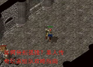 ��θ��¶������˴��������ӹ���ָ��