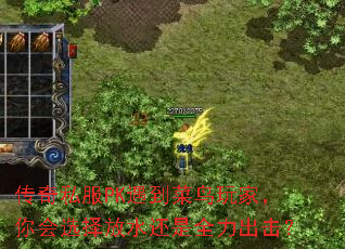 ����˽��PK����������ң����ѡ���ˮ����ȫ��������