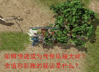 ��ο��ٳ�Ϊ����˽�����У���ֵ�뵽�˵��ؾ���ʲô��